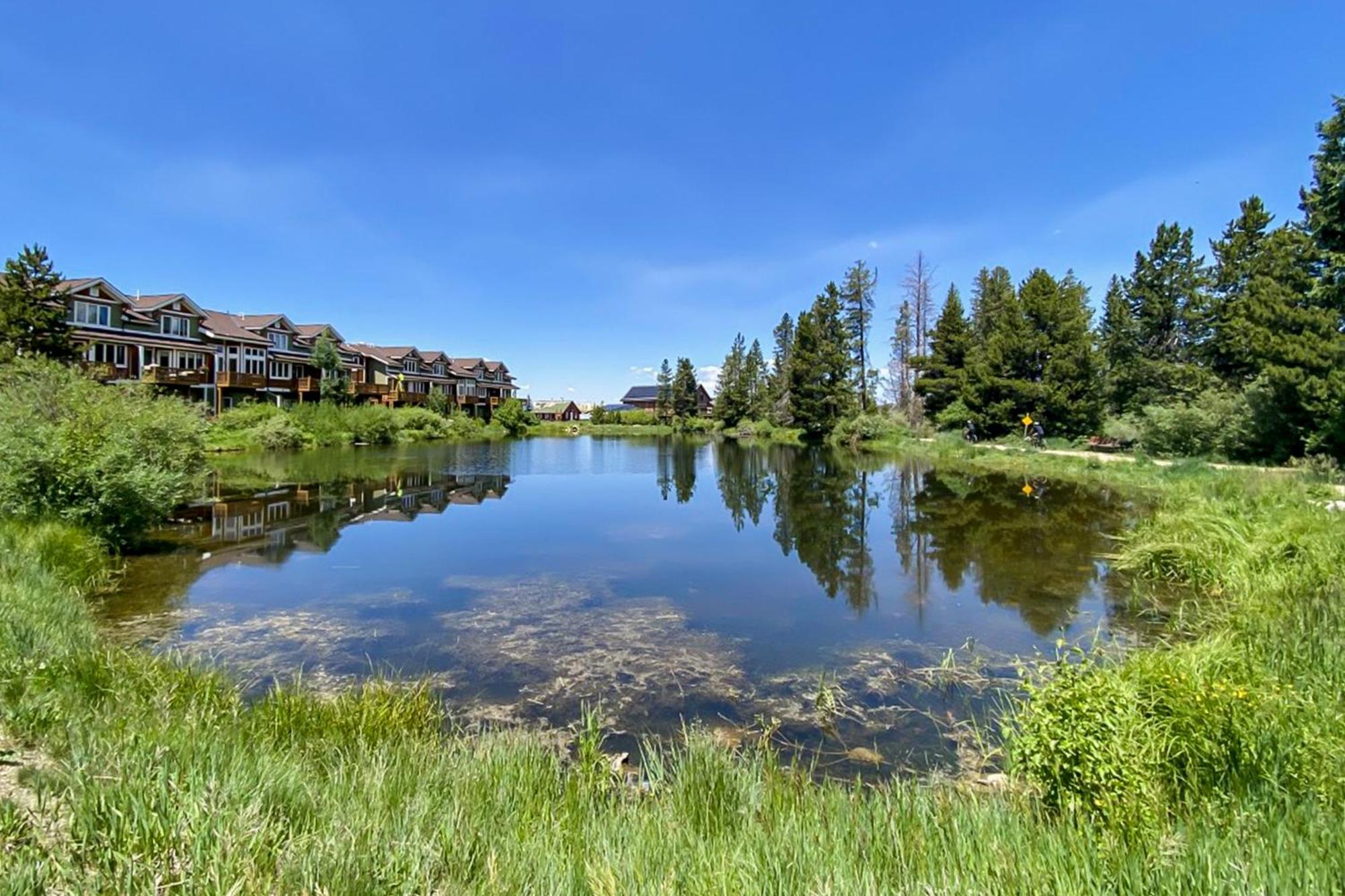 Hi Country Haus Getaway Apartment Winter Park Cameră foto